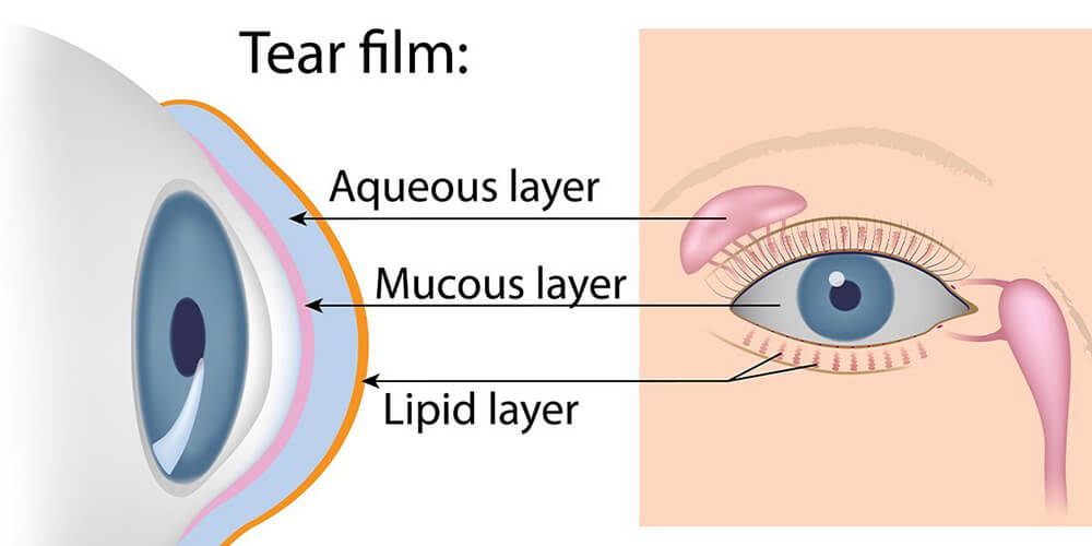 Tear Film medical illustration